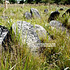  Kirkut (an old Jewish graveyard) 
