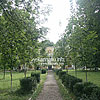  The park near the palace 
