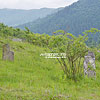  Jewish cemetery
