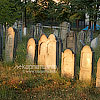  The old Jewish graveyard
