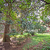  Laudon arboretum, Ferenc Rakoczy St.
