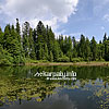  Ozirtse lake (Synevyr National Park)

